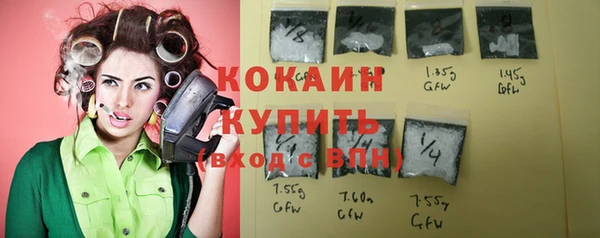 МДПВ Рославль