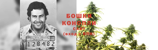 дживик Переславль-Залесский