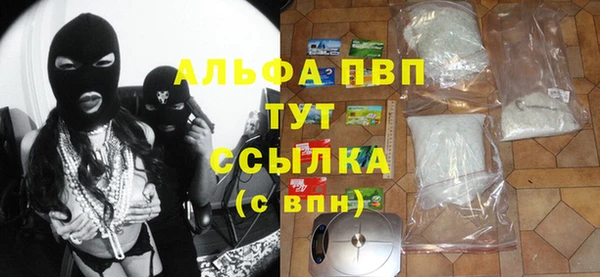 гашик Таштагол