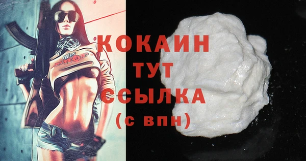 дживик Переславль-Залесский