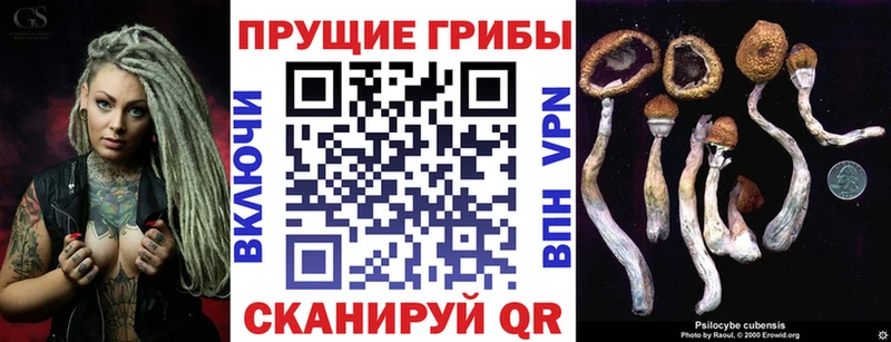 цены   Остров  Псилоцибиновые грибы мухоморы 